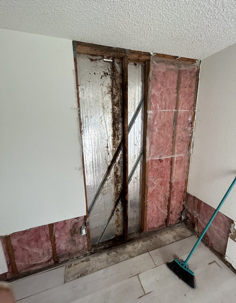 Rapid Mold Inspection & Testing - mold inspector in Fort Lauderdale, FL