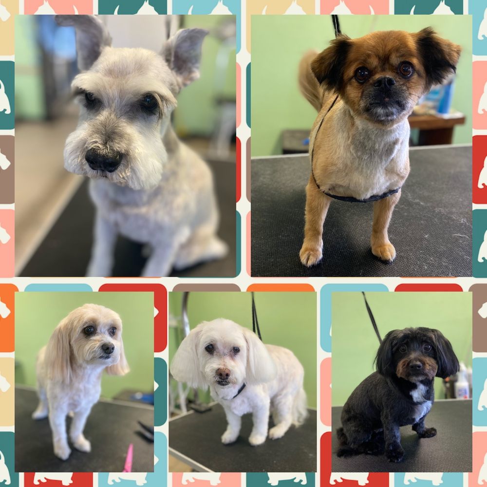 ELSA’S CHOP SHOP Updated August 2024 44 Photos 1960 Hwy 95