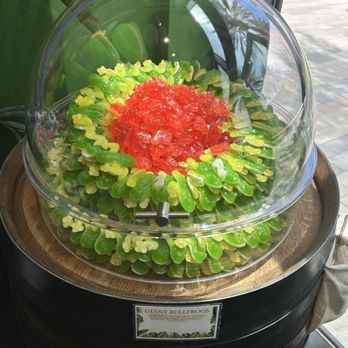 Yummy Jungle Candy Shop - Candy Stores Near Me - Sunrise, Florida Yummy Jungle Candy Shop - Candy Stores Near Me - Sunrise, Florida