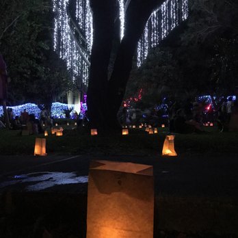 Foster Botanical Garden - Midsummer's night gleam - summer 2018 - Botanical Gardens Near Me - Honolulu, Hawaii