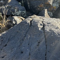 The Greenway Road and 17th Avenue Petroglyph Site - Petroglyphs