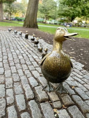 Public Garden by null