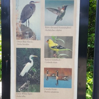 The Baird Community Center - Birds that have been spotted along the "river". Have you seen any? - Community Centers Near Me - South Orange, New Jersey The Baird Community Center - Birds that have been spotted along the "river". Have you seen any? - Community Centers Near Me - South Orange, New Jersey