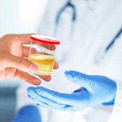 Drug and Alcohol Testing Compliance Services