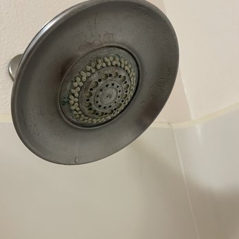 Howard Johnson by Wyndham Salinas - Shower head covered in filth, half the shower head is clogged - Hotels Near Me - Salinas, California Howard Johnson by Wyndham Salinas - Shower head covered in filth, half the shower head is clogged - Hotels Near Me - Salinas, California
