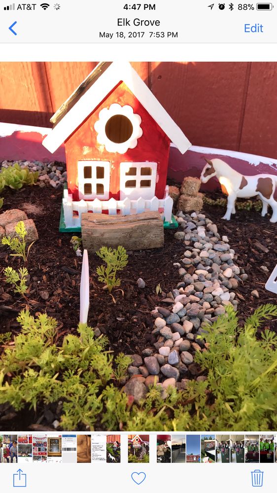 Acres of Learning - childcare center in Elk Grove, CA