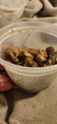 Brazilian Spices by null