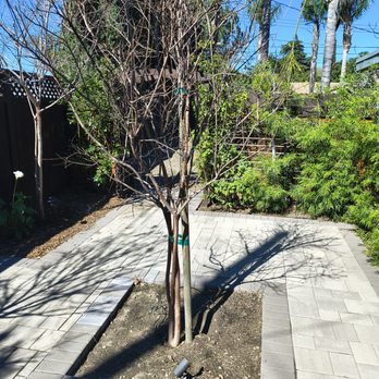 Eddie’s Landscaping And Tree Service - paver repair work and tree install - Landscaping Near Me