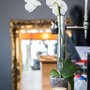 Photo of Highbury Arts Club