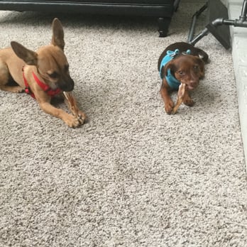 hollywood feed lakewood