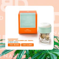 Bud Dynasty - Bud Dynasty - 14522 Venture Blvd,
Sherman Oaks,
CA 91403, USA - (818) 946-8455