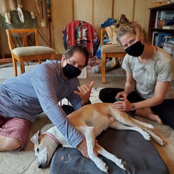 Kai Animal Institute - Holistic Animal Care Near Me Kai Animal Institute - Holistic Animal Care Near Me