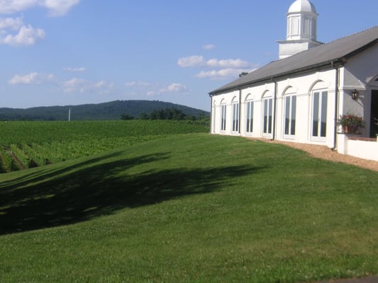 Barboursville Vineyards by null