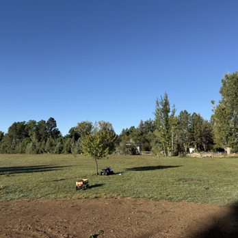 Equinox Tree Service - After - Tree Services Near Me Equinox Tree Service - After - Tree Services Near Me