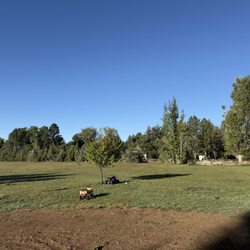 Equinox Tree Service - After