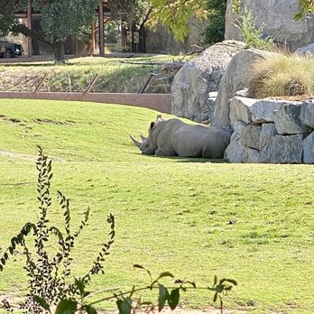 Fresno Chaffee Zoo - Zoos Near Me - Fresno, California Fresno Chaffee Zoo - Zoos Near Me - Fresno, California