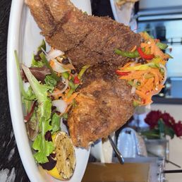 Red Snapper