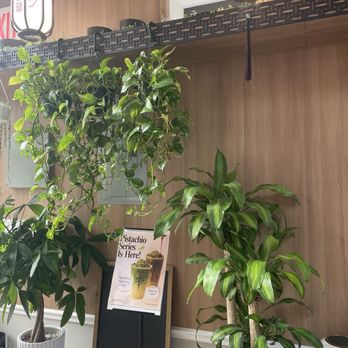Cafe Diem - Interior - Coffee & Tea Near Me - New York, New York