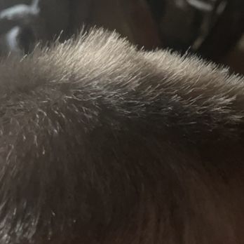Bubble Cuts - Uneven hair cut on the top and even the sides. His his was left with some long strains and some short - Kids Hair Salons Near Me - Los Angeles, California