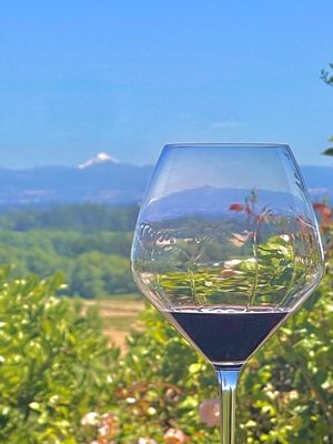 Cristom Vineyards by null