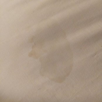 Quality Suites - Big disgusting stain on sheet of second room too! Asked for housekeeping to come while we are out. They just made the bed. - Hotels Near Me - Lansing, Michigan Quality Suites - Big disgusting stain on sheet of second room too! Asked for housekeeping to come while we are out. They just made the bed. - Hotels Near Me - Lansing, Michigan