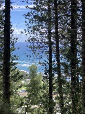 Hauʻula Loop Trail by null