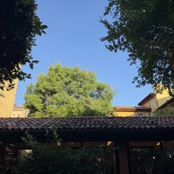 Hotel Porta San Mamolo - Garden outside the breakfast area