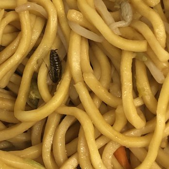 Golden Dragon Restaurant - disgusting. will never ever order from Golden Dragon again. Horrible. - Chinese Near Me - Bronx, New York
