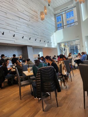 Open Rice Metropolitan by null