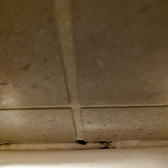 Hallmark Resort - Mold on top of soap holder in bathroom. - Resorts Near Me - Newport, Oregon Hallmark Resort - Mold on top of soap holder in bathroom. - Resorts Near Me - Newport, Oregon