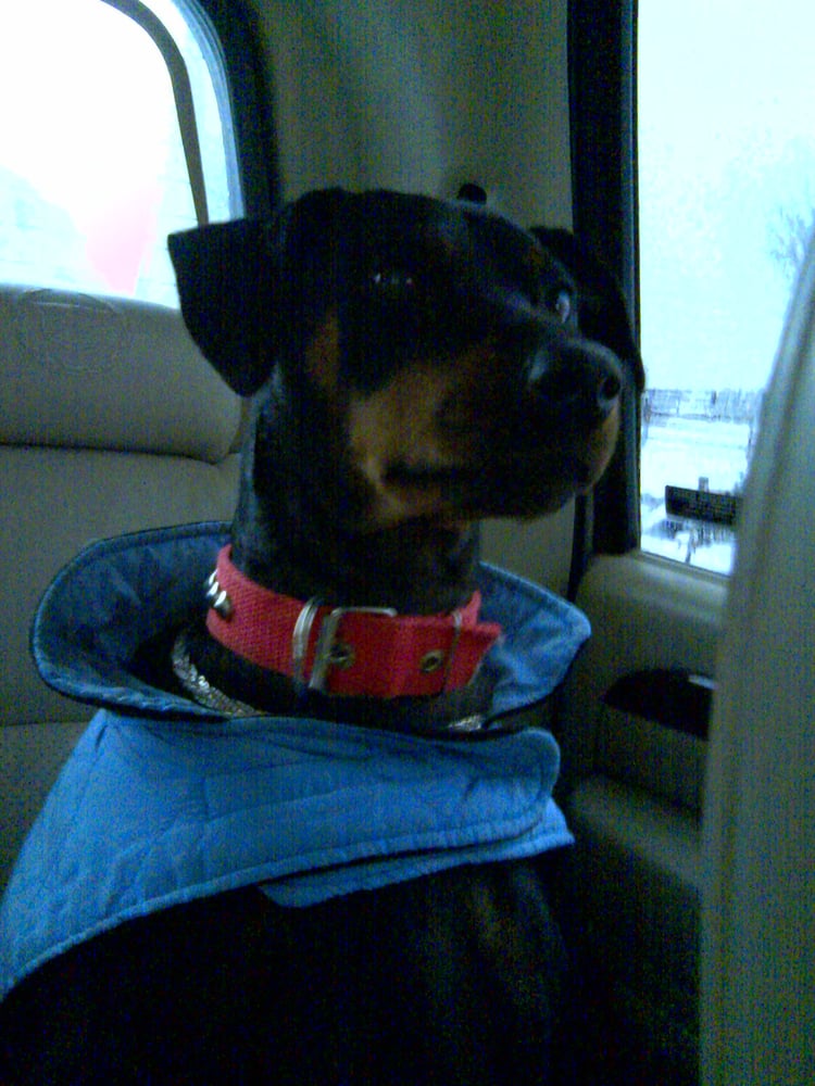 Slide of Mark Whitworth Construction