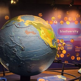 Discovery Place Science - Giant globe! - Museums Near Me - Charlotte, North Carolina Discovery Place Science - Giant globe! - Museums Near Me - Charlotte, North Carolina