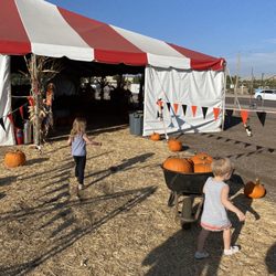 Arizona Pumpkin Patch