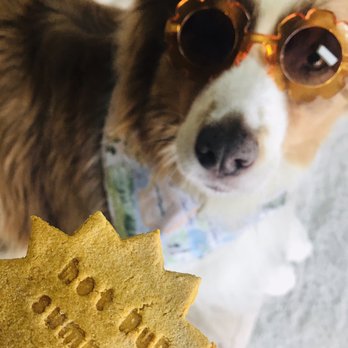 Puppy Picnic - Party & Event Planning Near Me - Encinitas, California Puppy Picnic - Party & Event Planning Near Me - Encinitas, California
