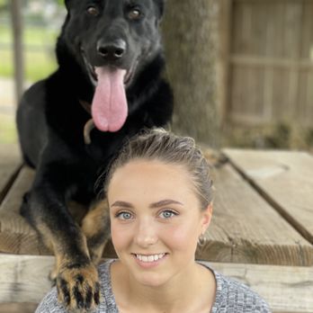 Vanburen K9 Academy - Pet Training Near Me Vanburen K9 Academy - Pet Training Near Me