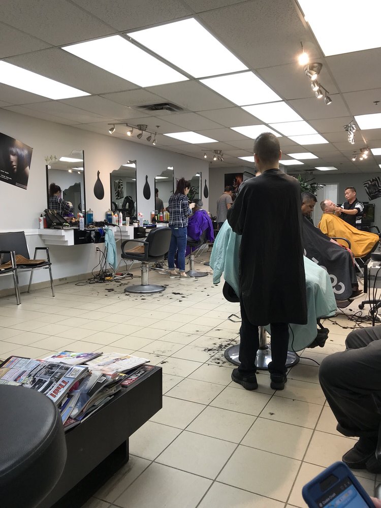 Anne's Hair Creation Image