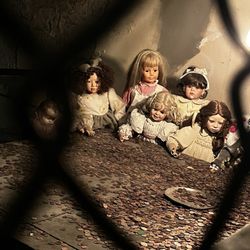 Get Ghosted Phoenix - Dolls at Hannys