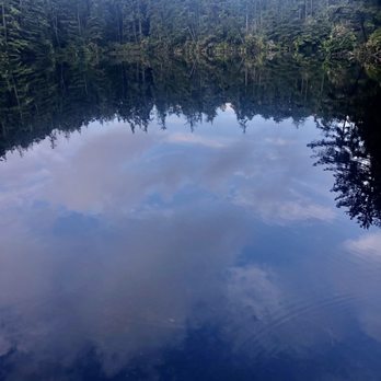 Umpqua Lighthouse State Park - Lake Marie - Parks Near Me - Reedsport, Oregon Umpqua Lighthouse State Park - Lake Marie - Parks Near Me - Reedsport, Oregon