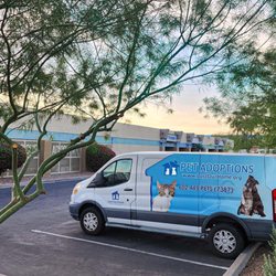 Lost Our Home Pet Rescue - Tempe Location
