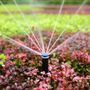 Greenflow Irrigation