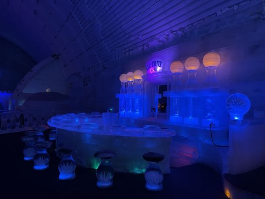 Aurora Ice Museum by null