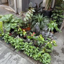 Exterior photo of ManhattanFlorist.com - New York, New York Exterior photo of ManhattanFlorist.com - New York, New York