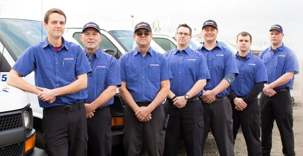 Slide of Bulldog Rooter