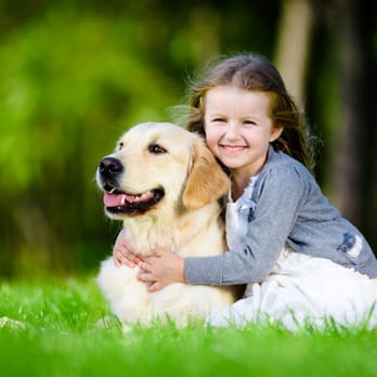 Scoop Solutions - Pet Services Near Me Scoop Solutions - Pet Services Near Me