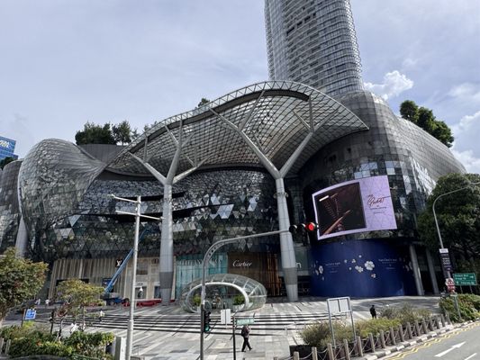 ION Orchard by null