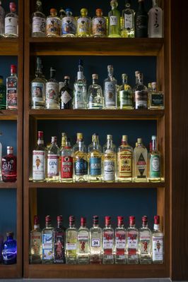 The Gin Library - The Worlds Largest Gin Collection by null
