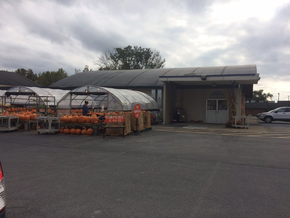COUNTRY ACRES FARM & PET CENTER Updated September 2024 730 Saratoga
