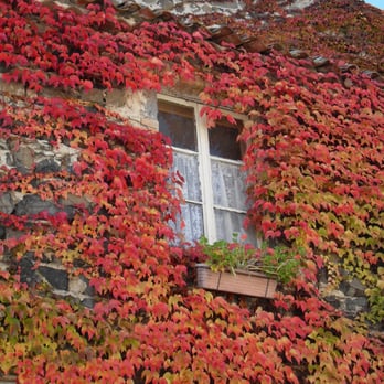 Solignat - Landmarks & Historical Buildings Near Me