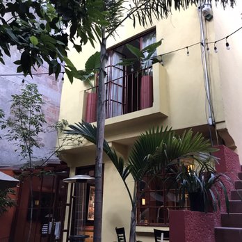The Red Tree House - Hotels Near Me - México, D.F., DIF The Red Tree House - Hotels Near Me - México, D.F., DIF