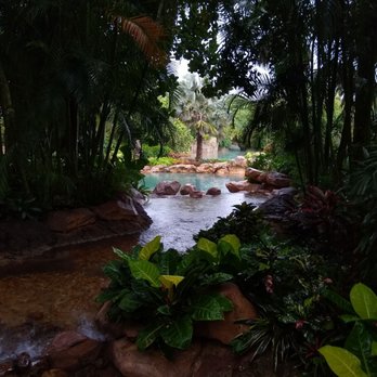 Discovery Cove - Amusement Parks Near Me - Orlando, Florida
